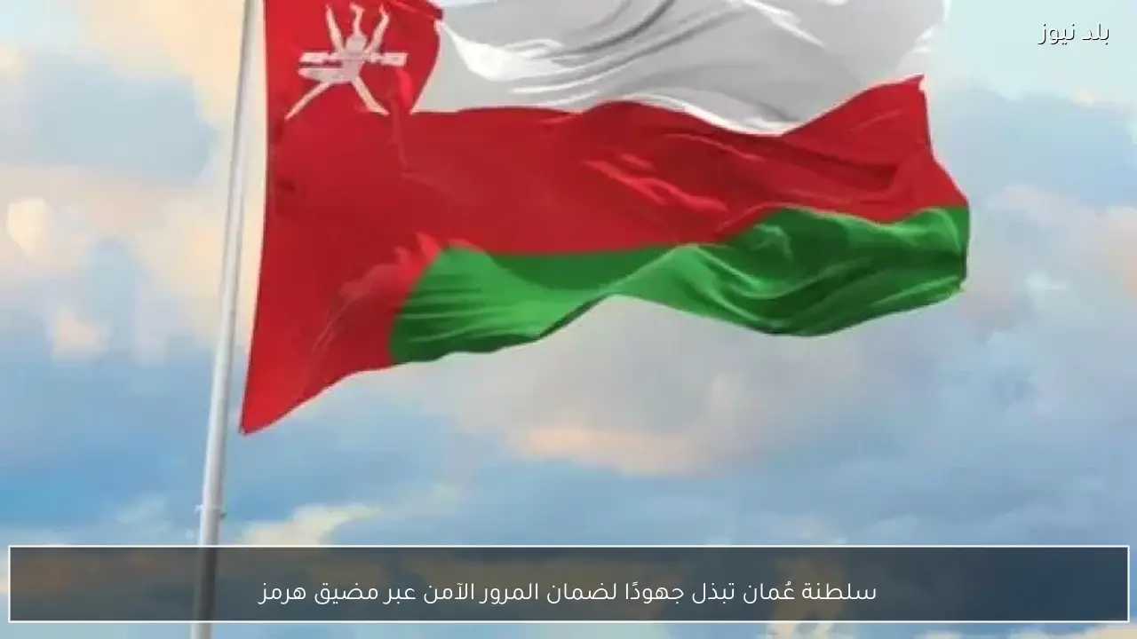 سلطنة عُمان تبذل جهودًا لضمان المرور الآمن عبر مضيق هرمز