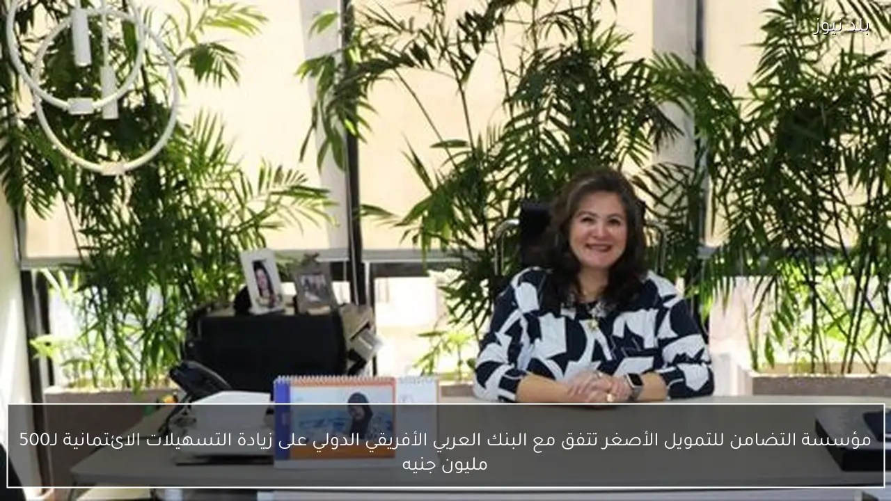 مؤسسة التضامن للتمويل الأصغر تتفق مع البنك العربي الأفريقي الدولي على زيادة التسهيلات الائتمانية لـ500 مليون جنيه