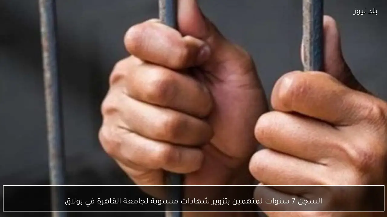 السجن 7 سنوات لمتهمين بتزوير شهادات منسوبة لجامعة القاهرة في بولاق