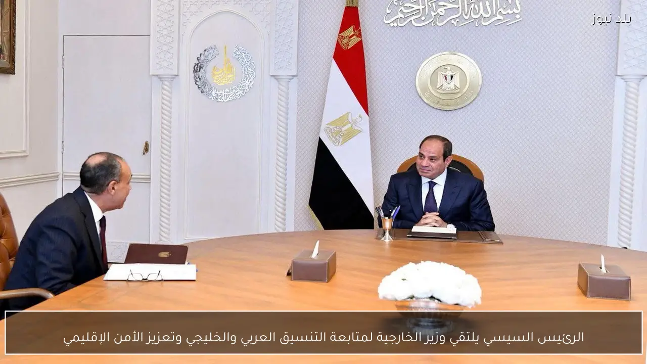 الرئيس السيسي يلتقي وزير الخارجية لمتابعة التنسيق العربي والخليجي وتعزيز الأمن الإقليمي