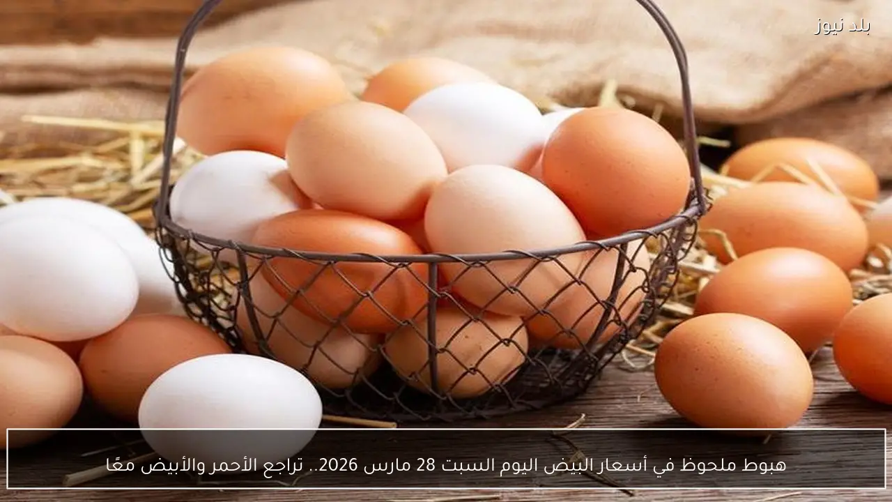 هبوط ملحوظ في أسعار البيض اليوم السبت 28 مارس 2026.. تراجع الأحمر والأبيض معًا