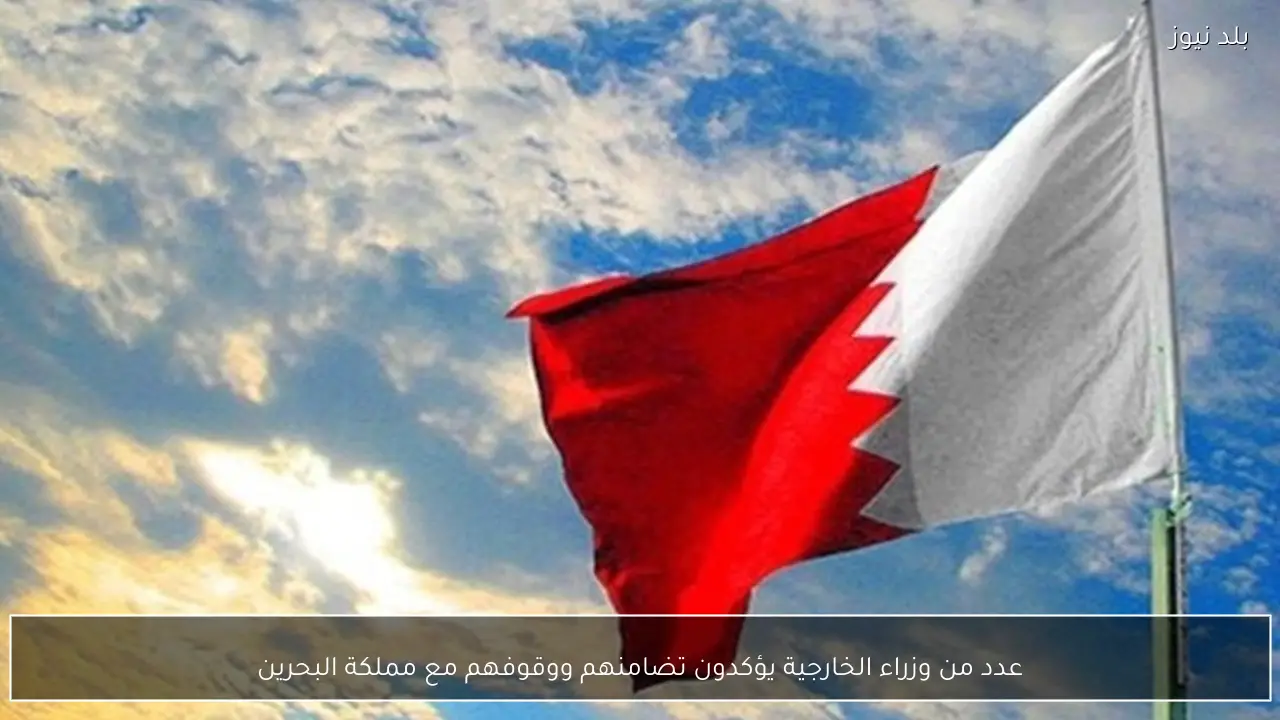 عدد من وزراء الخارجية يؤكدون تضامنهم ووقوفهم مع مملكة البحرين