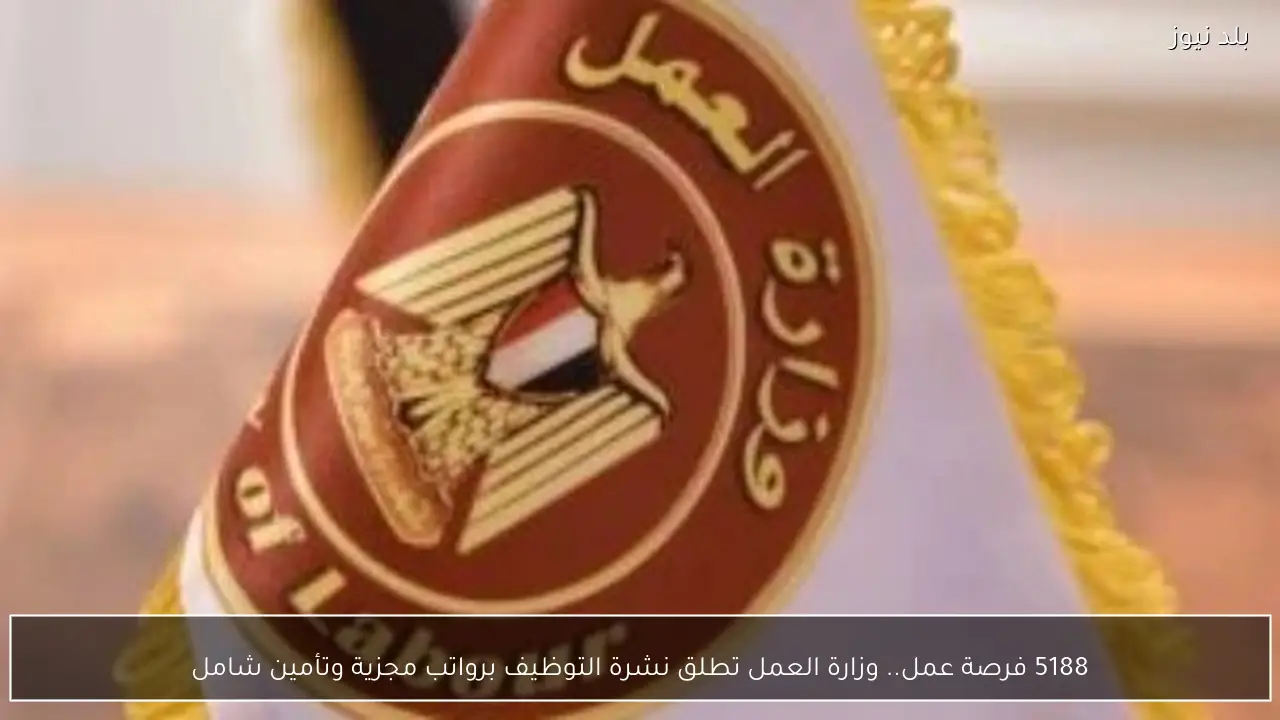 5188 فرصة عمل.. وزارة العمل تطلق نشرة التوظيف برواتب مجزية وتأمين شامل