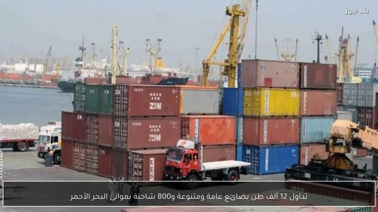 تداول 12 ألف طن بضائع عامة ومتنوعة و800 شاحنة بموانئ البحر الأحمر