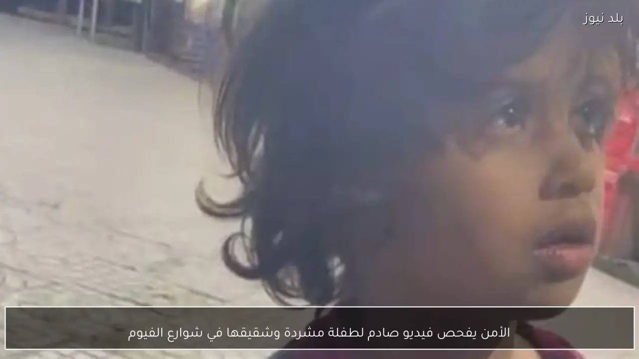 الأمن يفحص فيديو صادم لطفلة مشردة وشقيقها في شوارع الفيوم