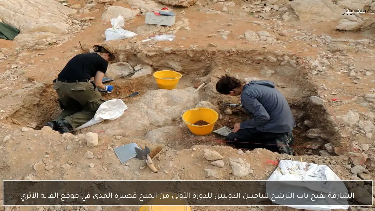 الشارقة تفتح باب الترشح للباحثين الدوليين للدورة الأولى من المنح قصيرة المدى في موقع الفاية الأثري