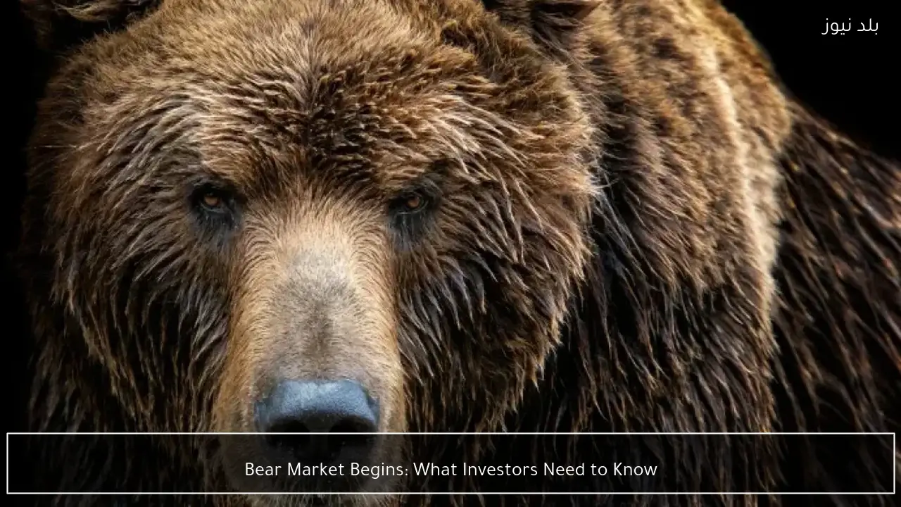 Bear Market Begins: What Investors Need to Know