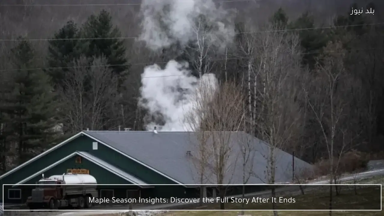 Maple Season Insights: Discover the Full Story After It Ends