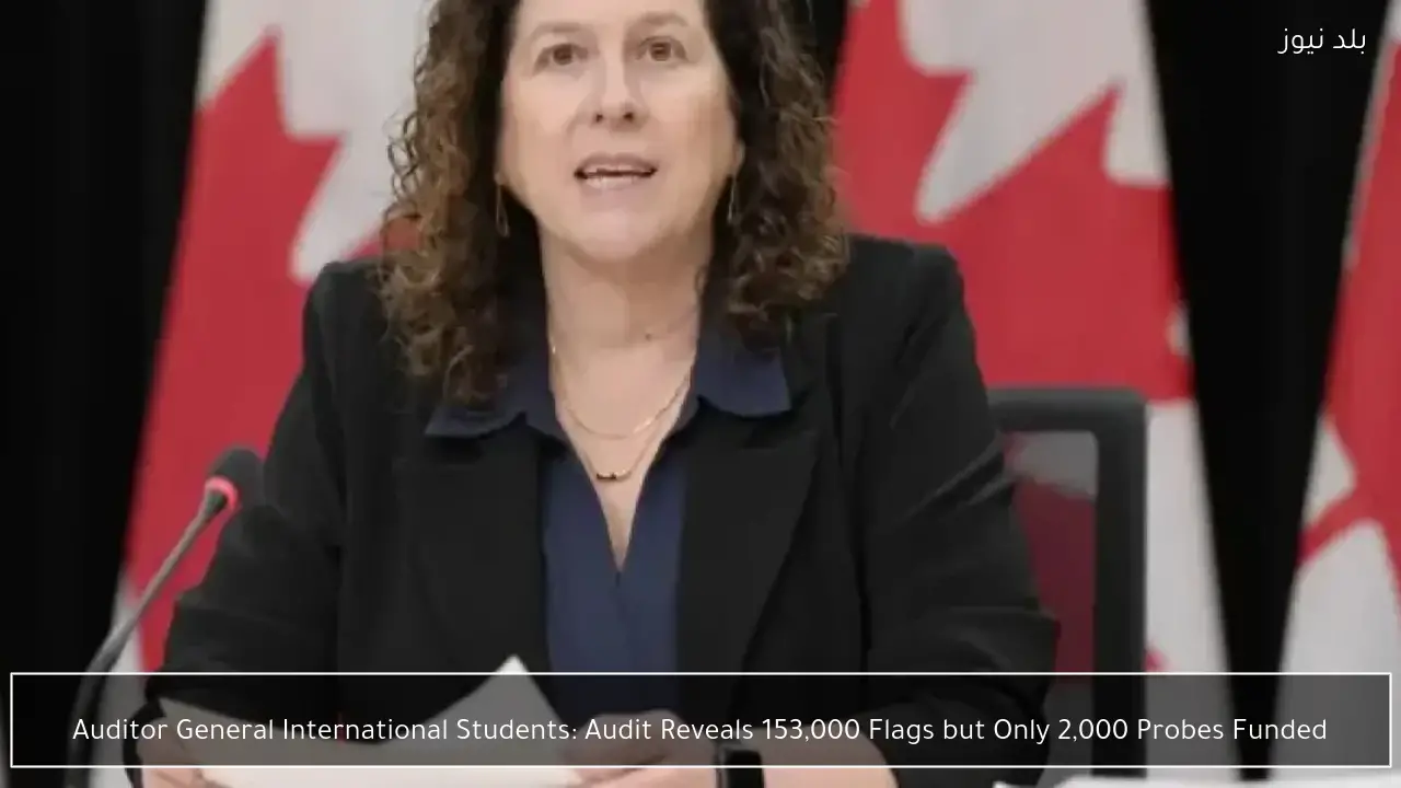 Auditor General International Students: Audit Reveals 153,000 Flags but Only 2,000 Probes Funded