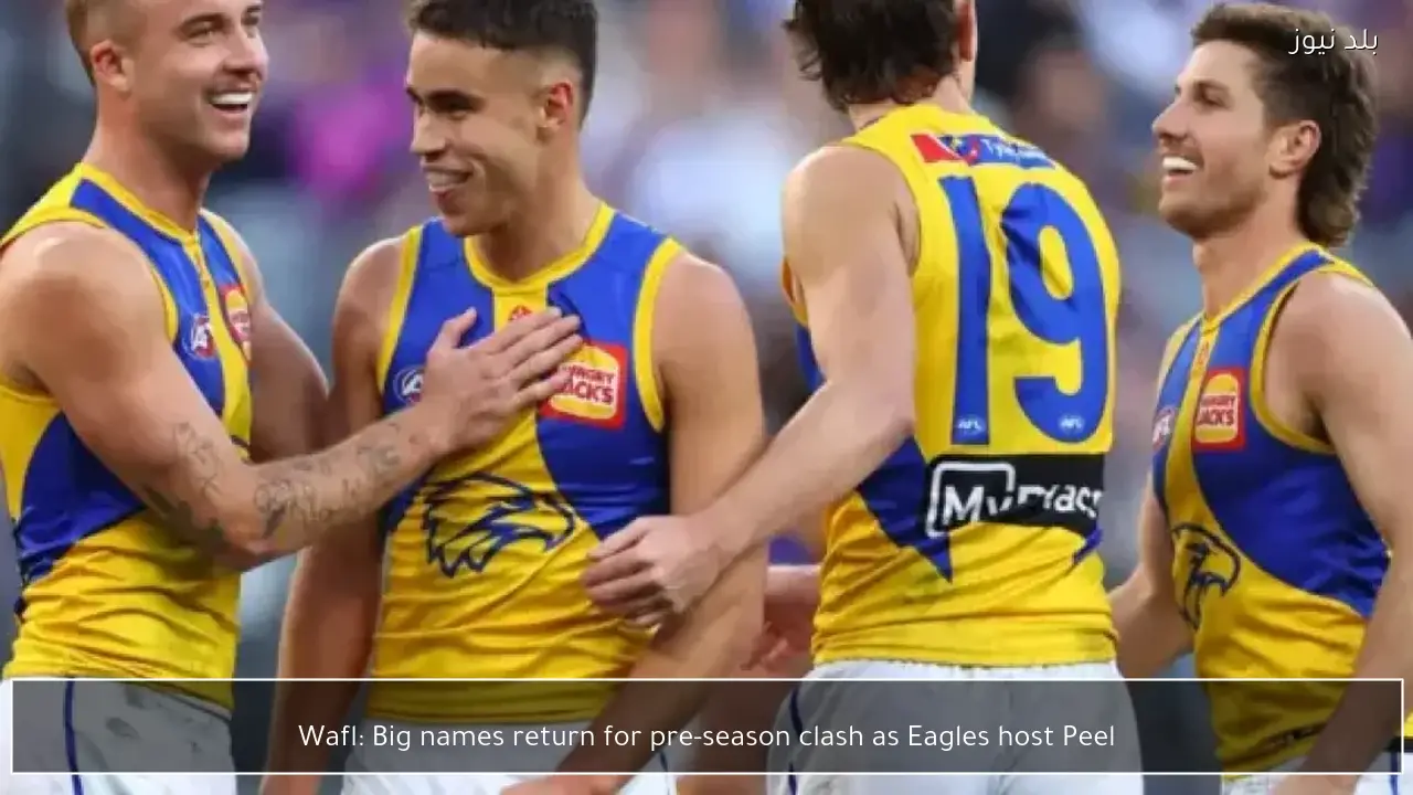 Wafl: Big names return for pre-season clash as Eagles host Peel