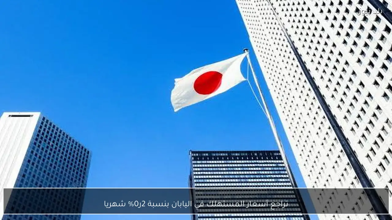 تراجع أسعار المستهلك في اليابان بنسبة 2ر0% شهريا