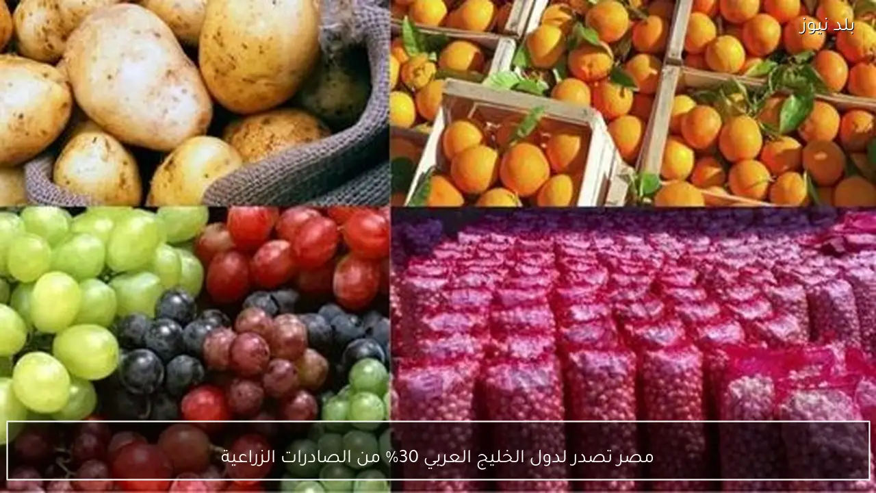 مصر تصدر لدول الخليج العربي 30% من الصادرات الزراعية