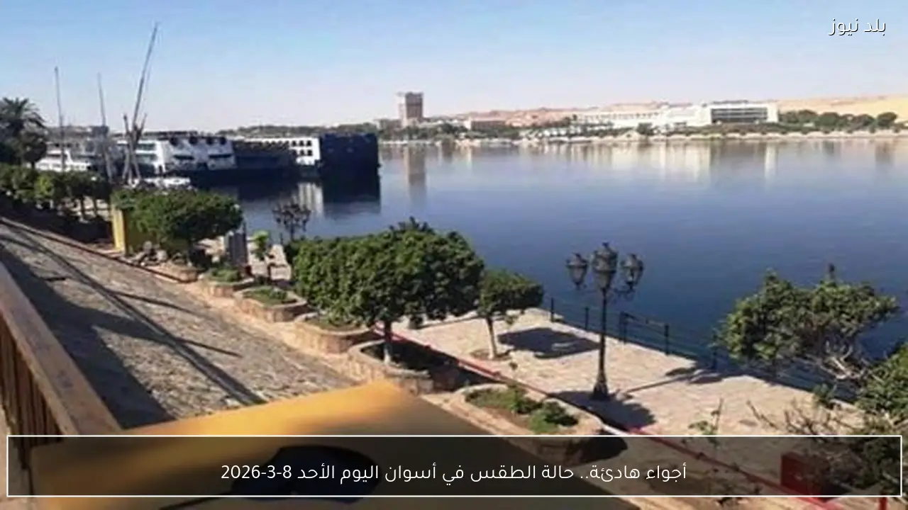 أجواء هادئة.. حالة الطقس في أسوان اليوم الأحد 8-3-2026