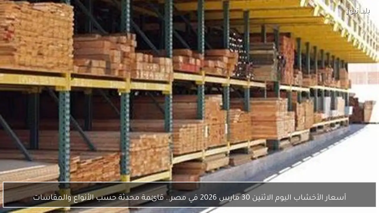 أسعار الأخشاب اليوم الاثنين 30 مارس 2026 في مصر.. قائمة محدثة حسب الأنواع والمقاسات