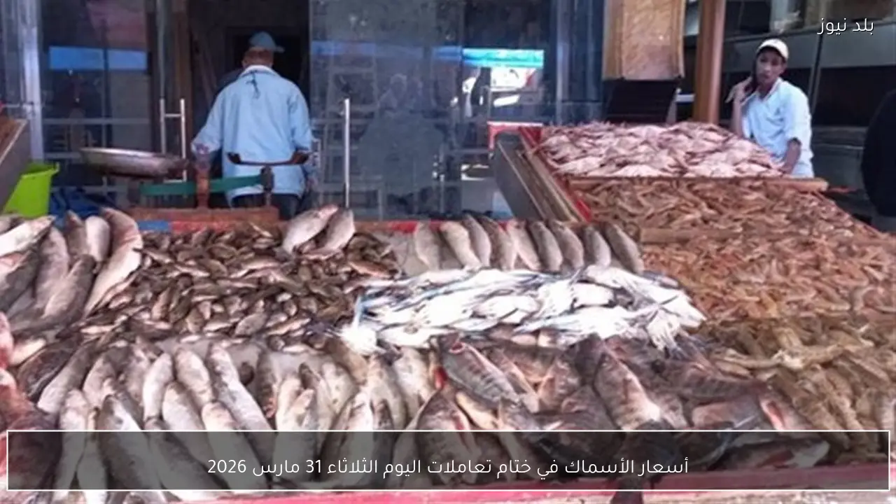 أسعار الأسماك في ختام تعاملات اليوم الثلاثاء 31 مارس 2026