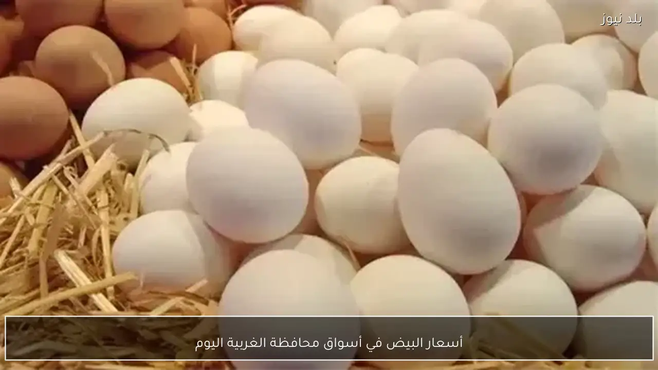 أسعار البيض في أسواق محافظة الغربية اليوم