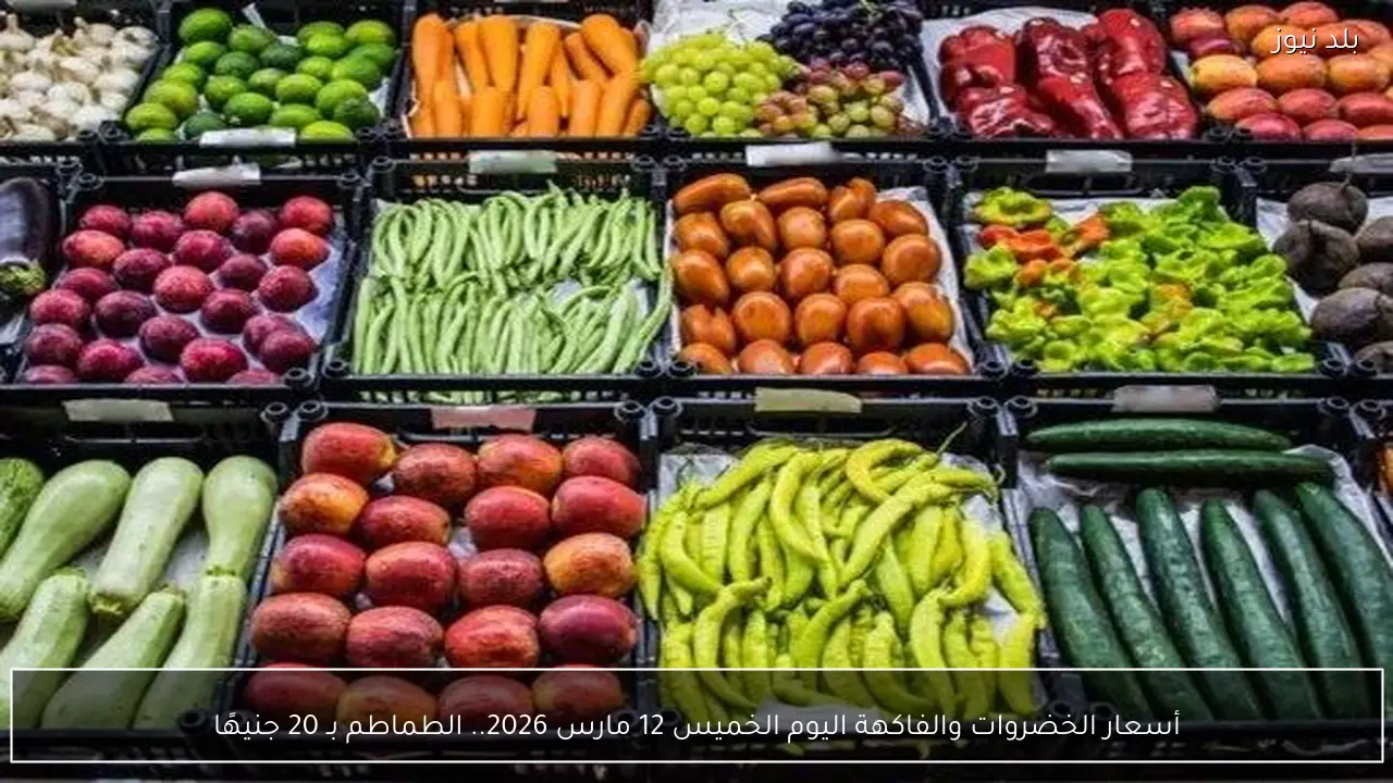 أسعار الخضروات والفاكهة اليوم الخميس 12 مارس 2026.. الطماطم بـ 20 جنيهًا