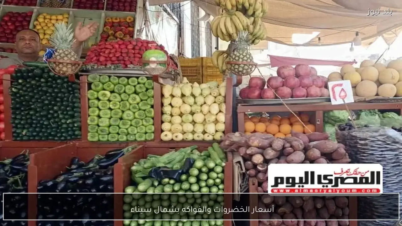 أسعار الخضروات والفواكه بشمال سيناء 