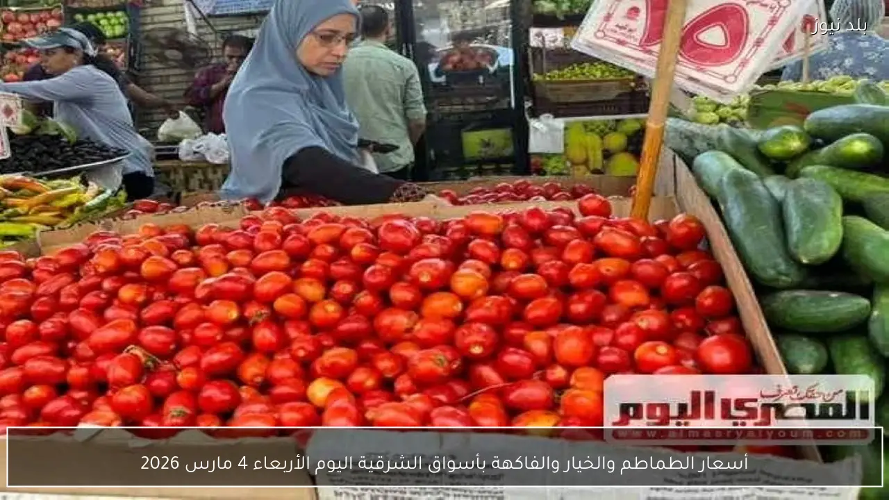 أسعار الطماطم والخيار والفاكهة بأسواق الشرقية اليوم الأربعاء 4 مارس 2026