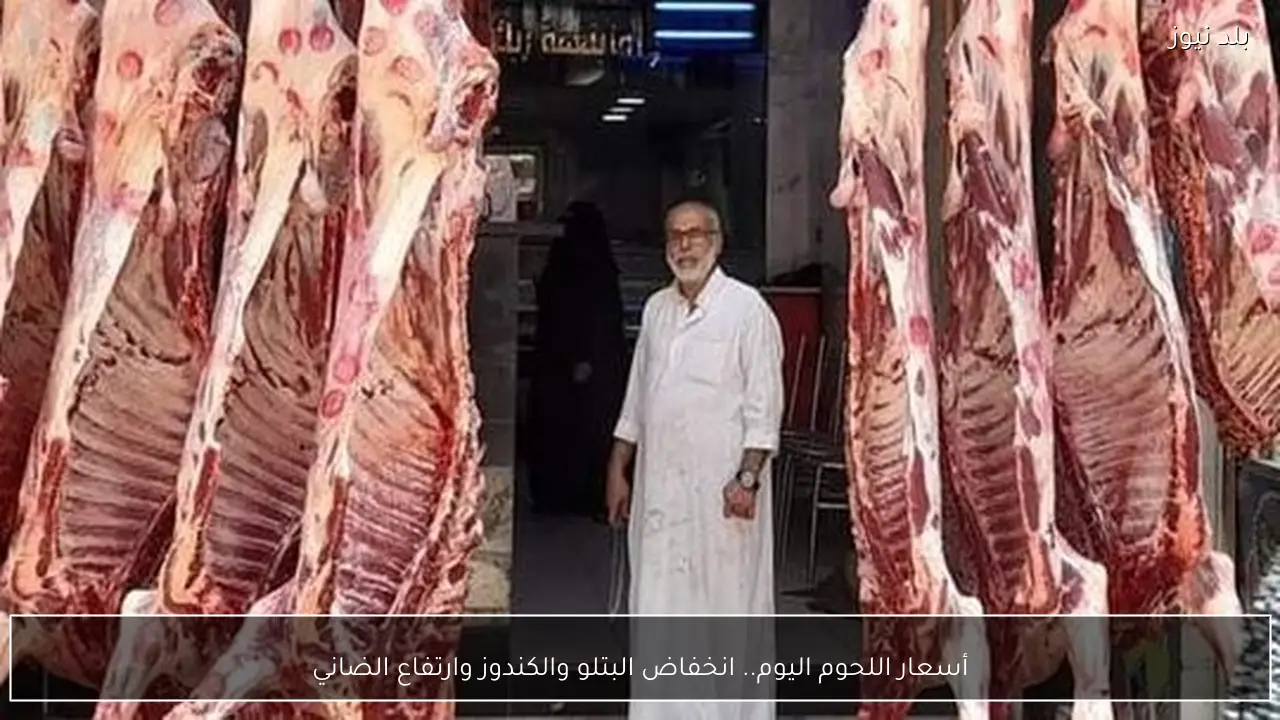 أسعار اللحوم اليوم.. انخفاض البتلو والكندوز وارتفاع الضاني
