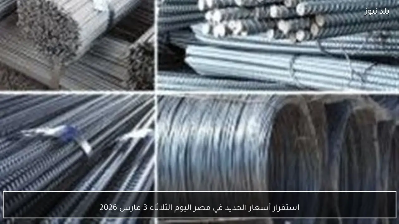 استقرار أسعار الحديد في مصر اليوم الثلاثاء 3 مارس 2026