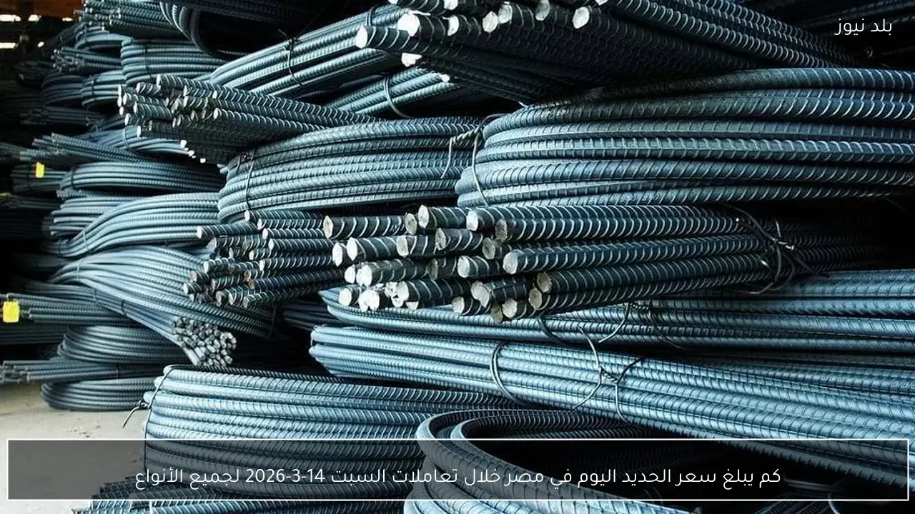 كم يبلغ سعر الحديد اليوم في مصر خلال تعاملات السبت 14-3-2026 لجميع الأنواع