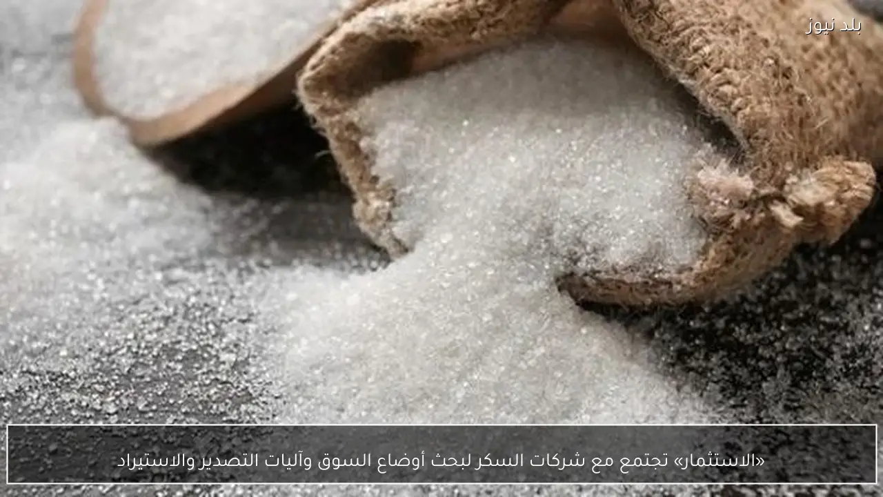 «الاستثمار» تجتمع مع شركات السكر لبحث أوضاع السوق وآليات التصدير والاستيراد