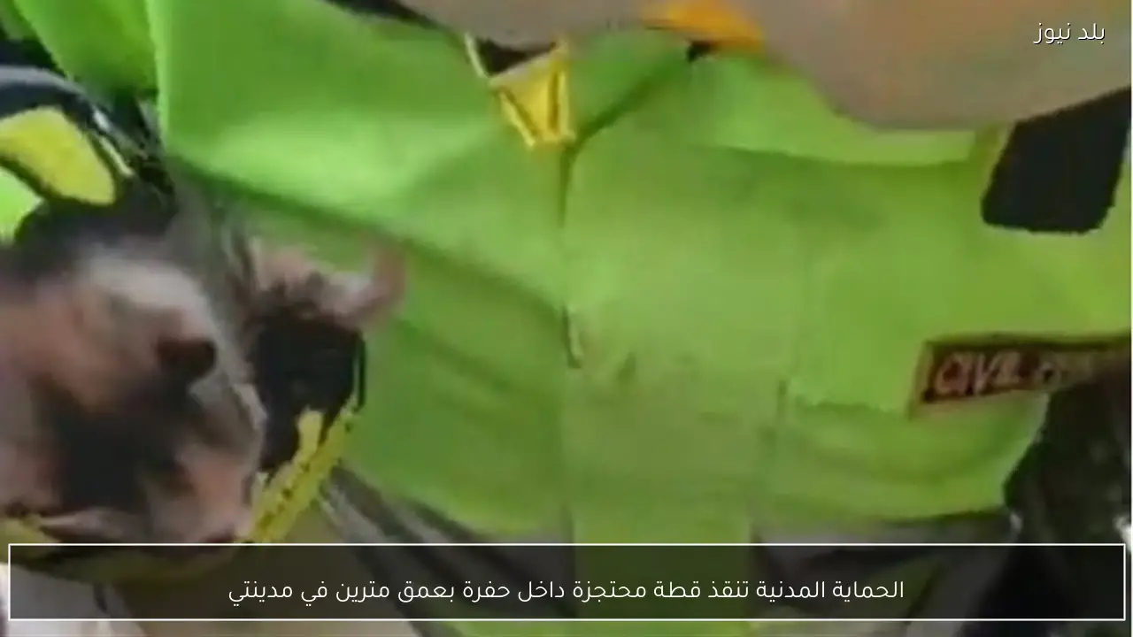 الحماية المدنية تنقذ قطة محتجزة داخل حفرة بعمق مترين في مدينتي