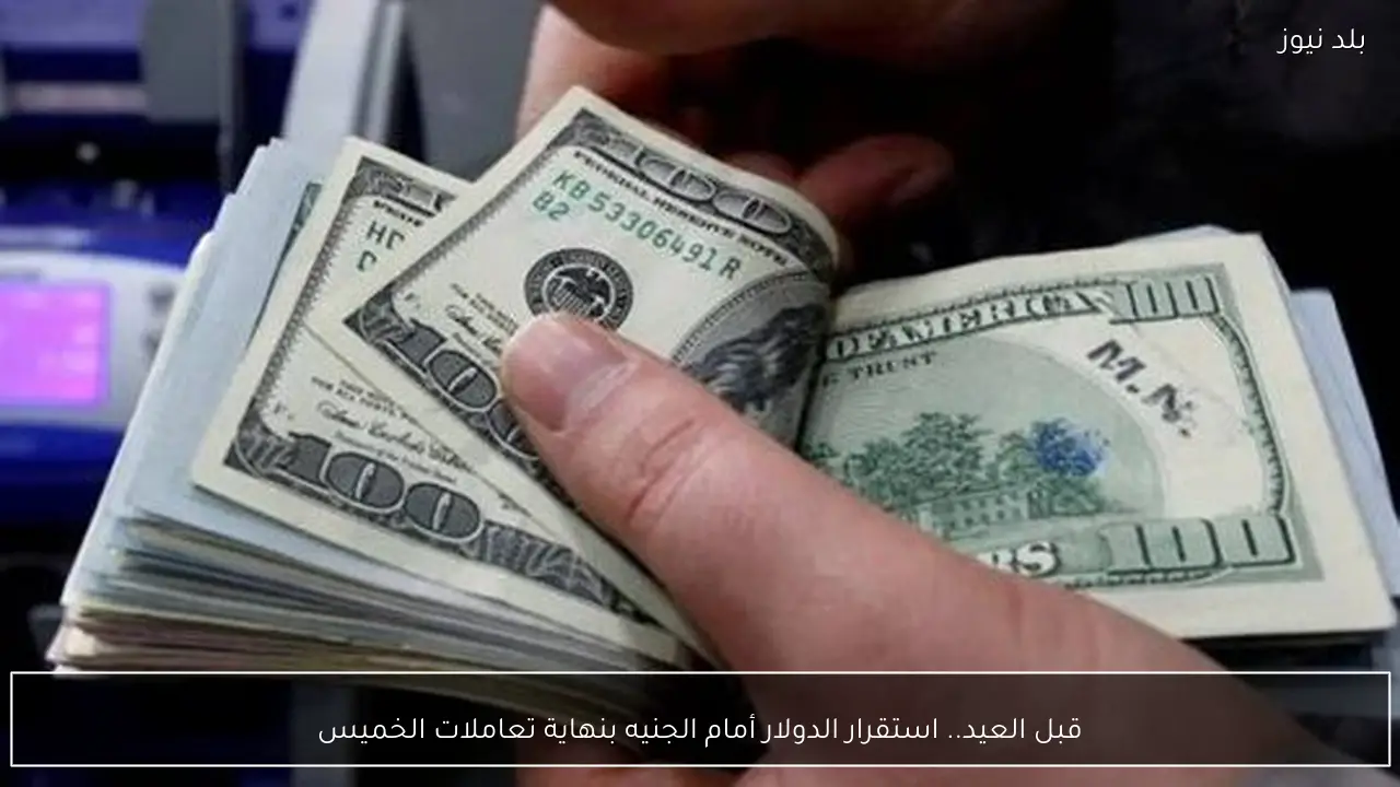 قبل العيد.. استقرار الدولار أمام الجنيه بنهاية تعاملات الخميس