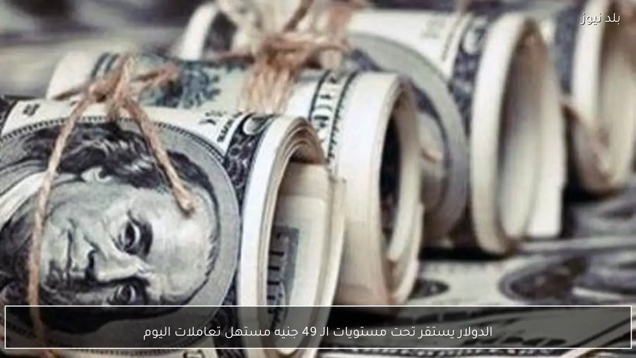 الدولار يستقر تحت مستويات الـ 49 جنيه مستهل تعاملات اليوم
