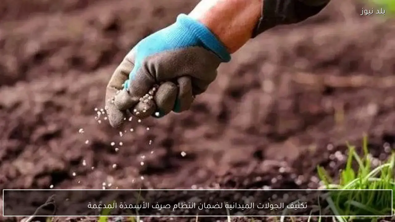 تكثيف الجولات الميدانية لضمان انتظام صرف الأسمدة المدعمة