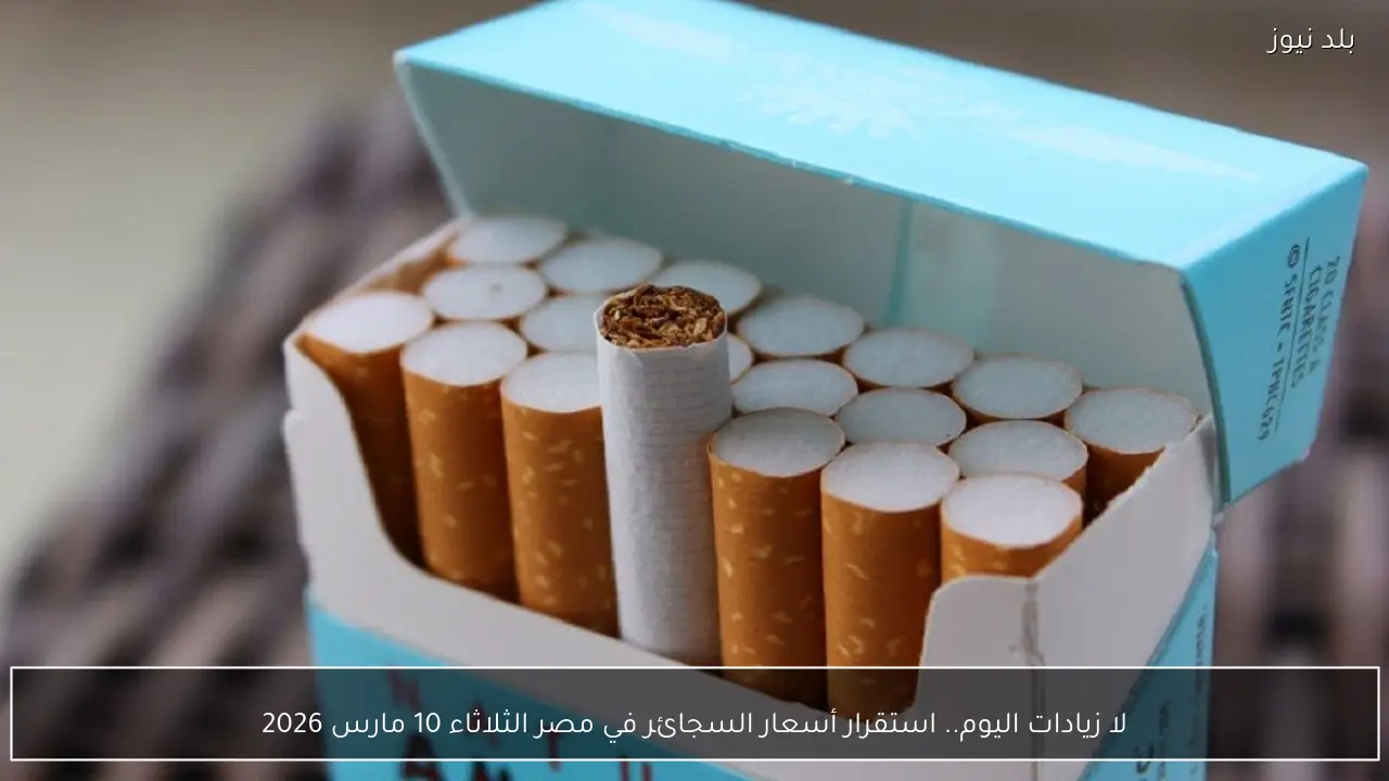 لا زيادات اليوم.. استقرار أسعار السجائر في مصر الثلاثاء 10 مارس 2026