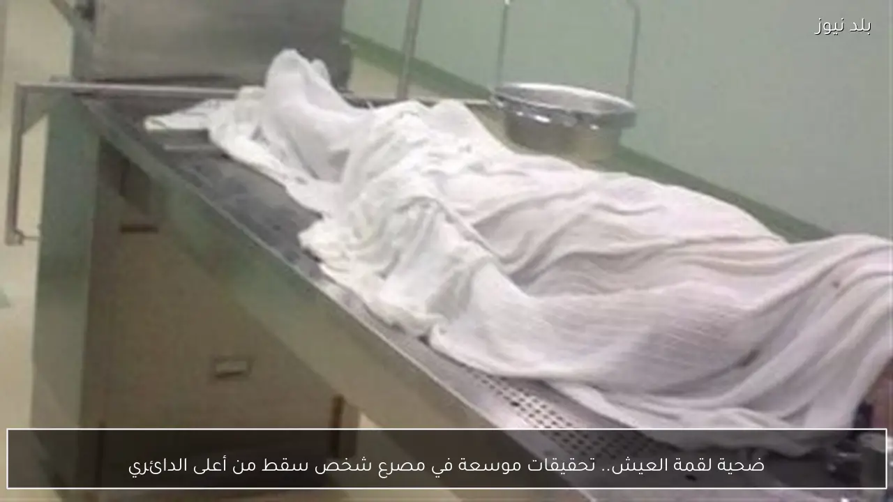 ضحية لقمة العيش.. تحقيقات موسعة في مصرع شخص سقط من أعلى الدائري