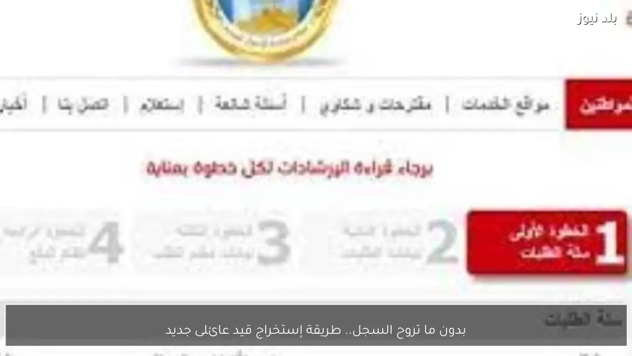 بدون ما تروح السجل.. طريقة إستخراج قيد عائلى جديد