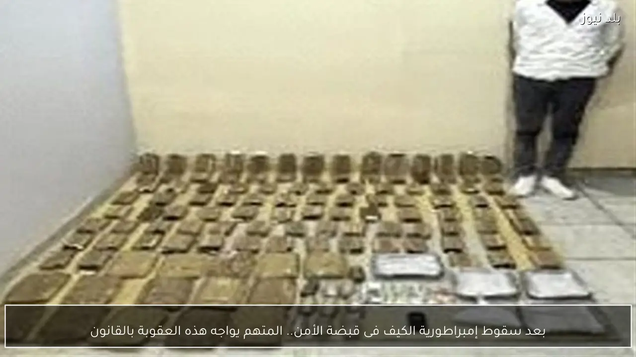 بعد سقوط إمبراطورية الكيف فى قبضة الأمن.. المتهم يواجه هذه العقوبة بالقانون