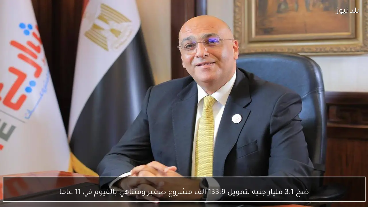 ضخ 3.1 مليار جنيه لتمويل 133.9 ألف مشروع صغير ومتناهي بالفيوم في 11 عاما