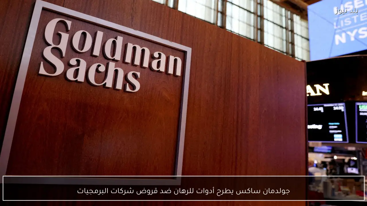 جولدمان ساكس يطرح أدوات للرهان ضد قروض شركات البرمجيات