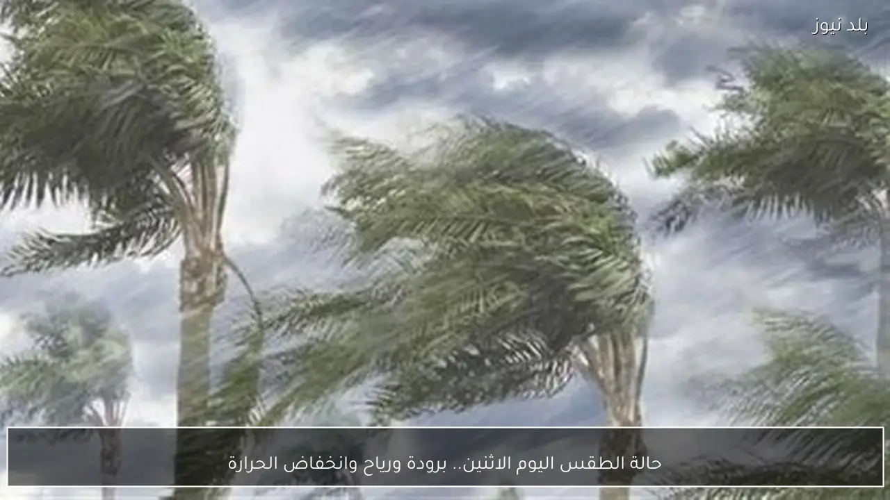 حالة الطقس اليوم الاثنين.. برودة ورياح وانخفاض الحرارة