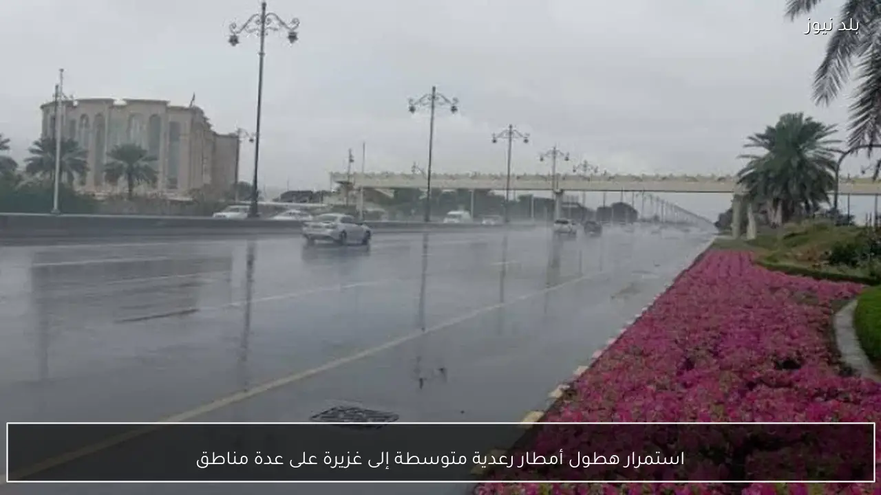 استمرار هطول أمطار رعدية متوسطة إلى غزيرة على عدة مناطق