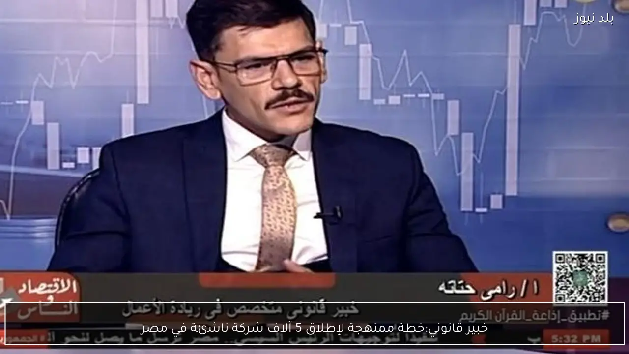 خبير قانوني:خطة ممنهجة لإطلاق 5 آلاف شركة ناشئة في مصر