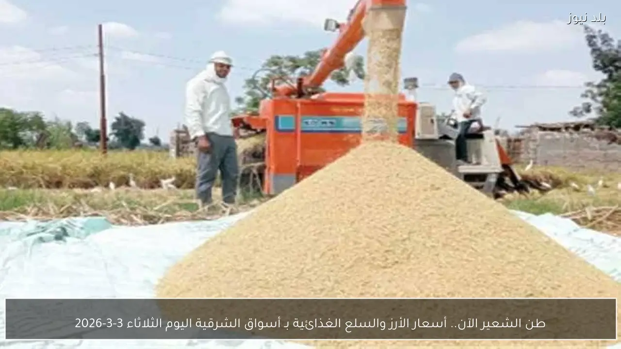 طن الشعير الآن.. أسعار الأرز والسلع الغذائية بـ أسواق الشرقية اليوم الثلاثاء 3-3-2026