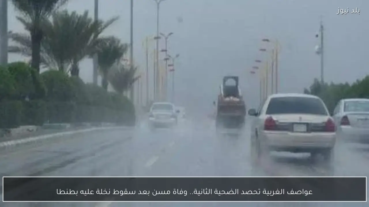 عواصف الغربية تحصد الضحية الثانية.. وفاة مسن بعد سقوط نخلة عليه بطنطا