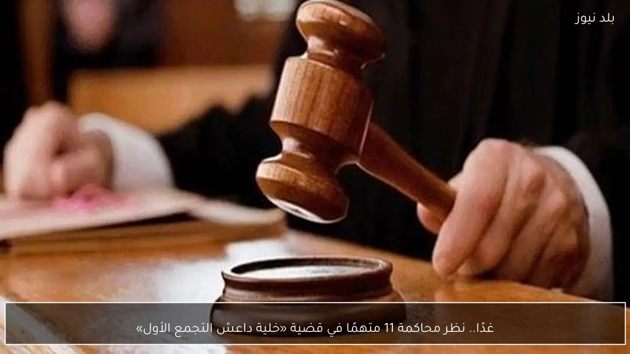 غدًا.. نظر محاكمة 11 متهمًا في قضية «خلية داعش التجمع الأول»