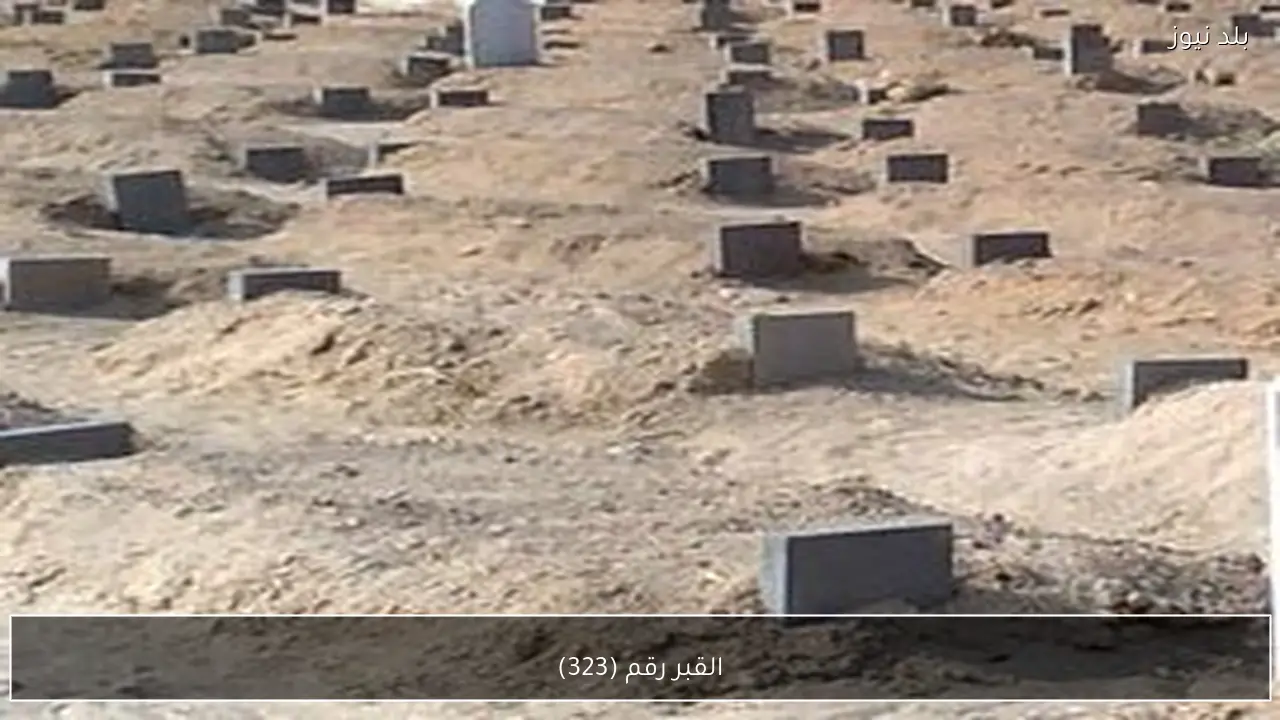 القبر رقم (323)
