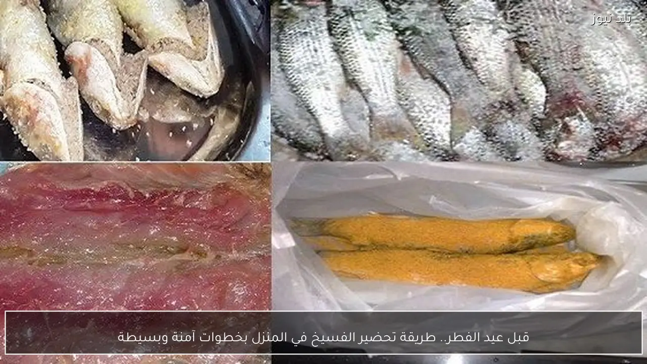 قبل عيد الفطر.. طريقة تحضير الفسيخ في المنزل بخطوات آمنة وبسيطة