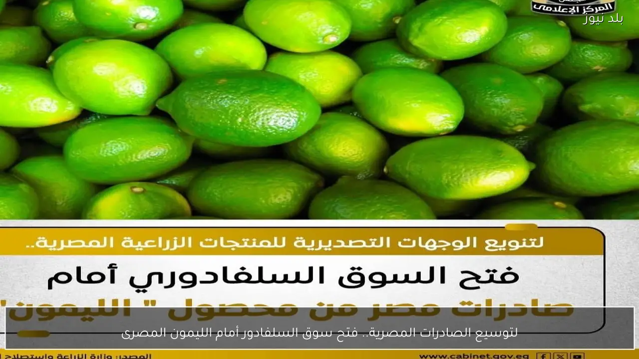 لتوسيع الصادرات المصرية.. فتح سوق السلفادور أمام الليمون المصرى