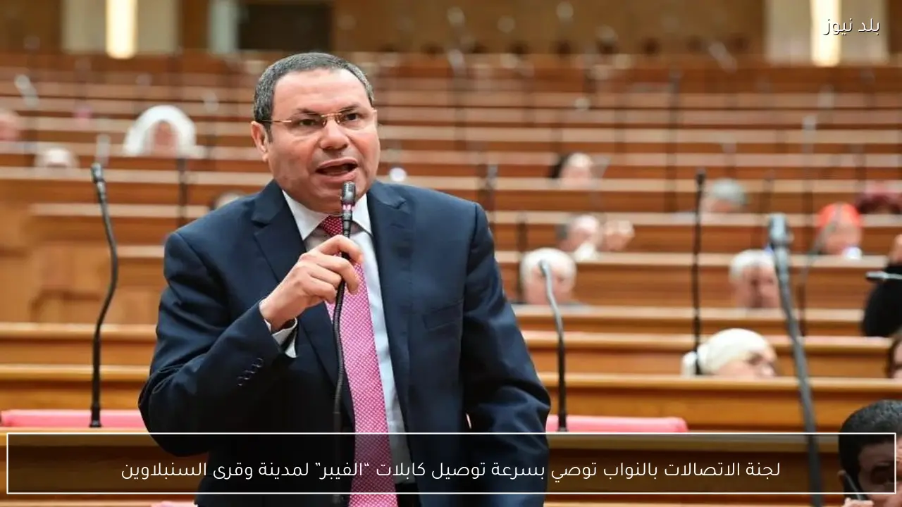 لجنة الاتصالات بالنواب توصي بسرعة توصيل كابلات “الفيبر” لمدينة وقرى السنبلاوين