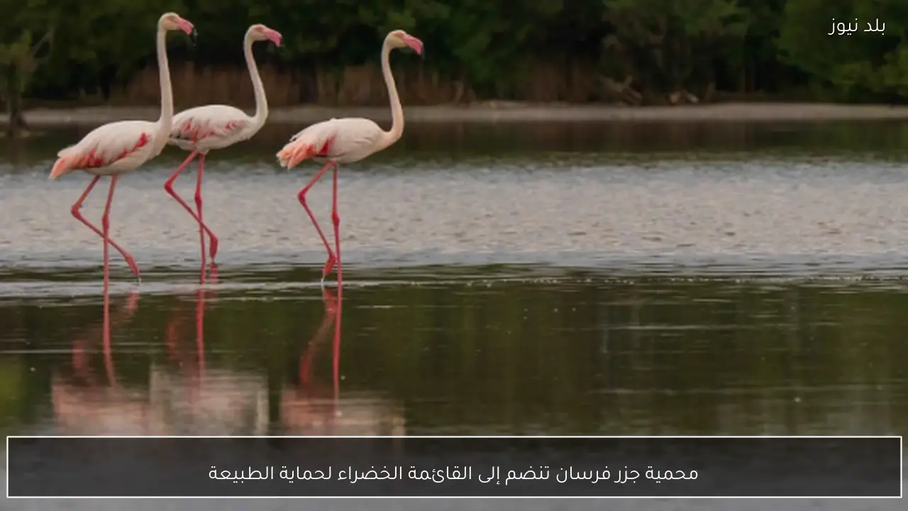 محمية جزر فرسان تنضم إلى القائمة الخضراء لحماية الطبيعة