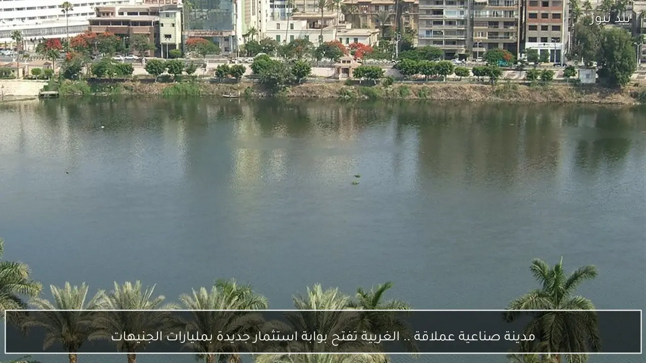 مدينة صناعية عملاقة .. الغربية تفتح بوابة استثمار جديدة بمليارات الجنيهات