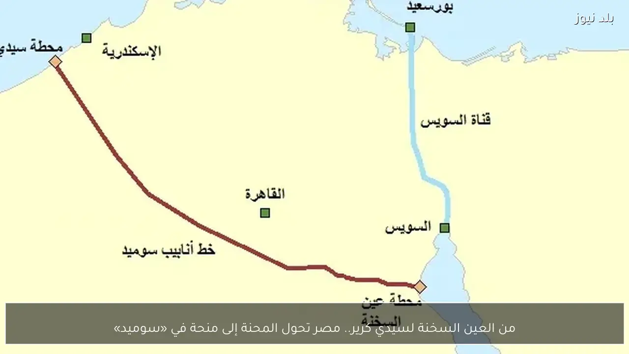 من العين السخنة لسيدي كرير.. مصر تحول المحنة إلى منحة في «سوميد»